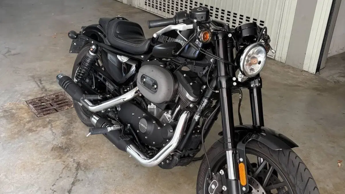Harley-Davidson 1200 Roadster (2016 - 2017) - XL 1200R  (5)