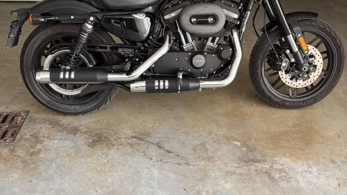Harley-Davidson 1200 Roadster (2016 - 2017) - XL 1200R  (2)