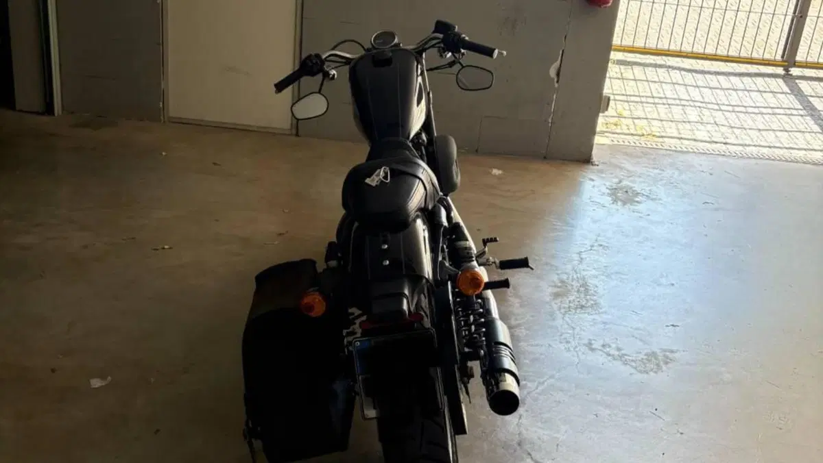 Harley-Davidson 1200 Roadster (2016 - 2017) - XL 1200R  (6)
