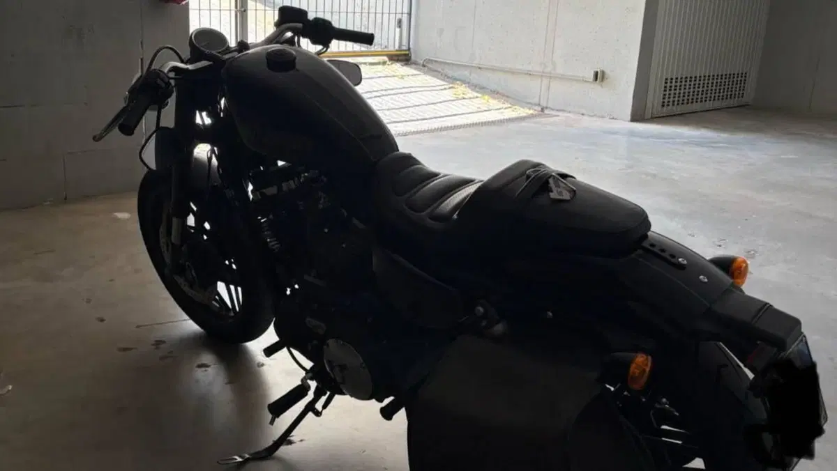 Harley-Davidson 1200 Roadster (2016 - 2017) - XL 1200R  (7)