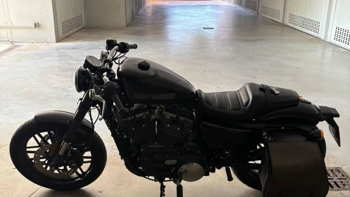 Harley-Davidson 1200 Roadster (2016 - 2017) - XL 1200R  (8)