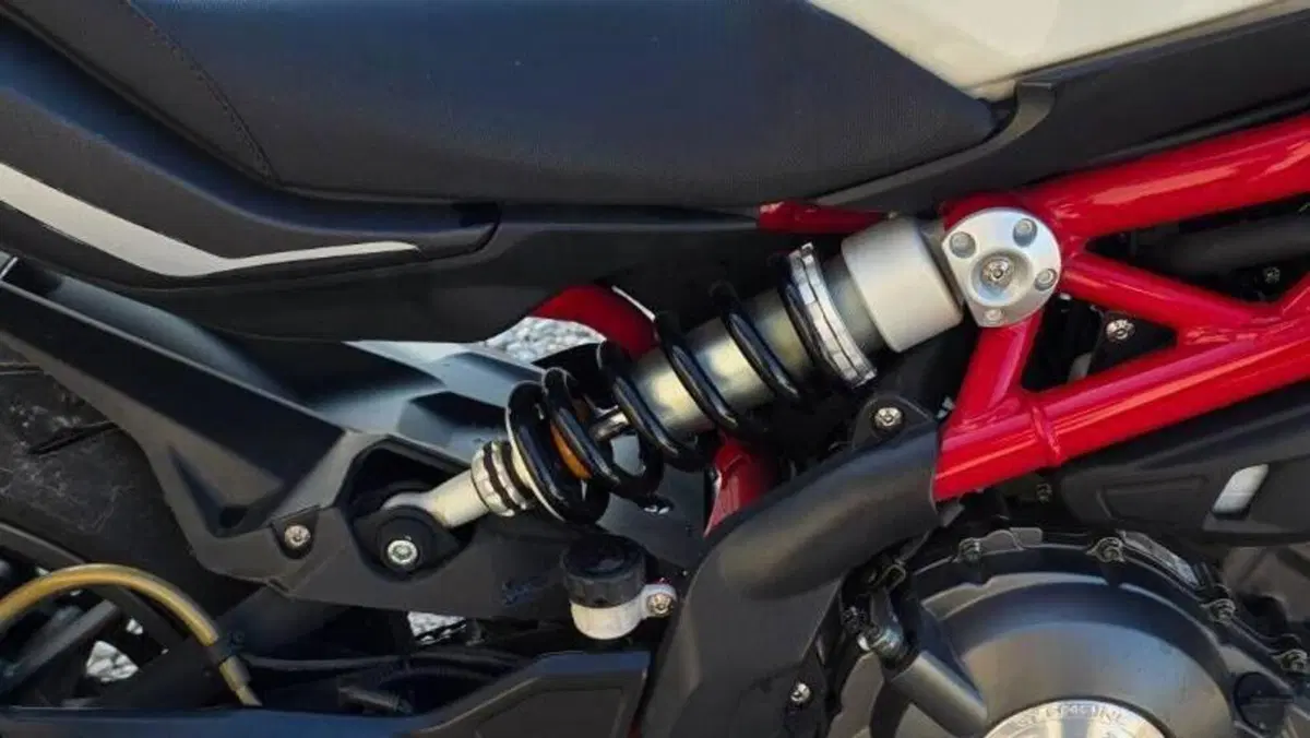 Benelli BN 302 (2017 - 19)  (8)