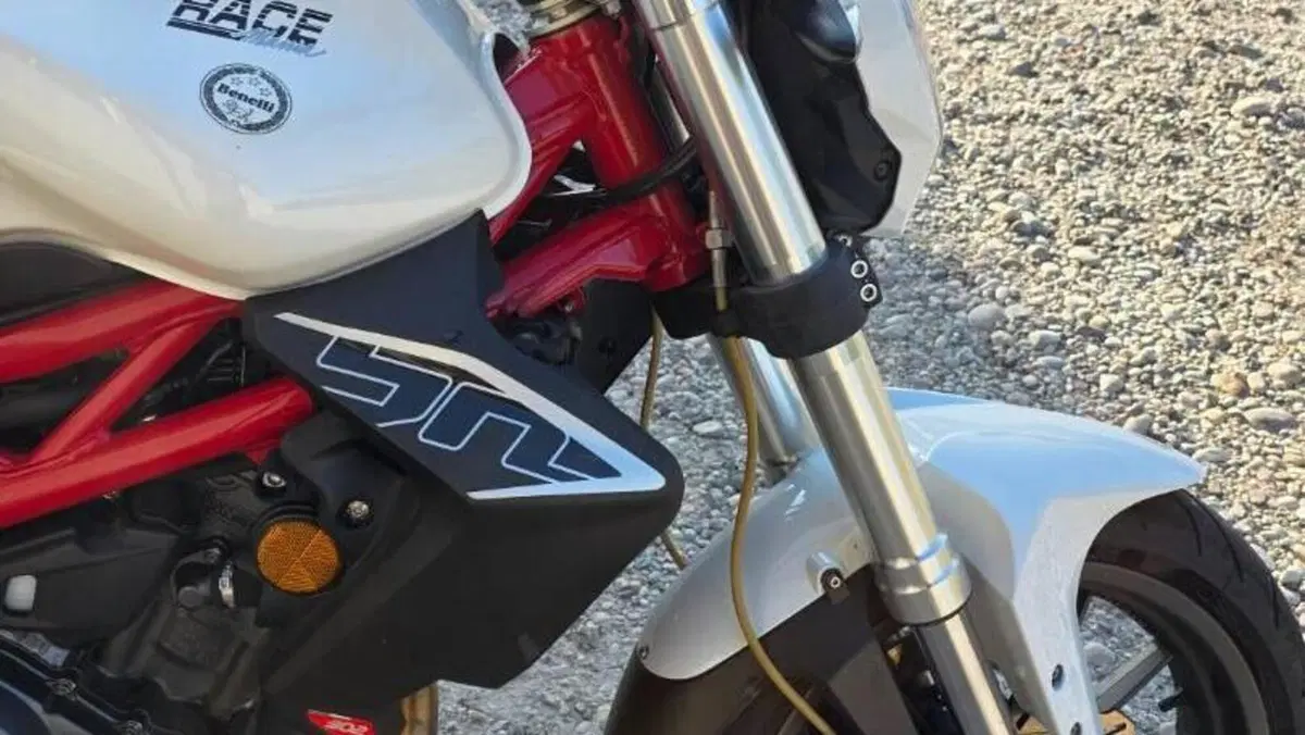 Benelli BN 302 (2017 - 19)  (10)