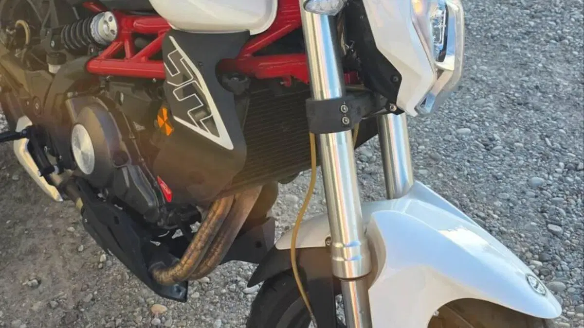 Benelli BN 302 (2017 - 19)  (11)
