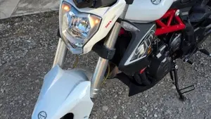 Benelli BN 302 (2017 - 19)  (13)