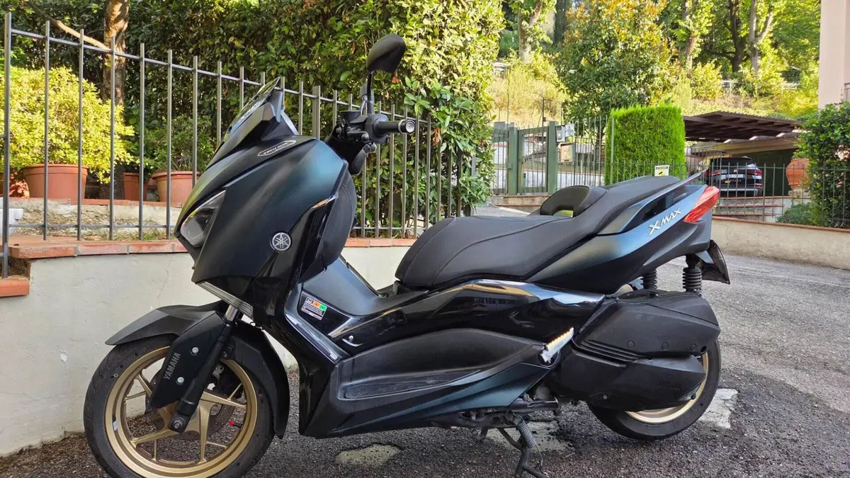 Yamaha X-Max 300 Tech Max (2021 - 24)  (2)