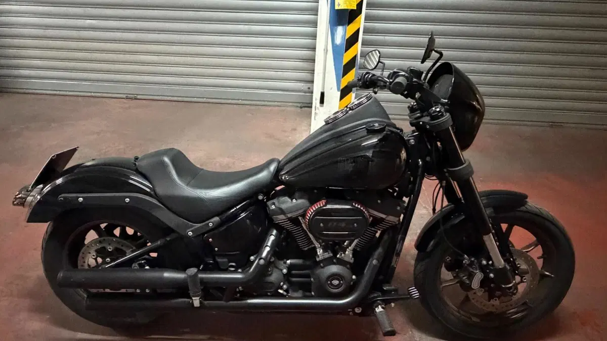 Harley-Davidson 114 Low Rider S (2020) - FXLRS  (2)