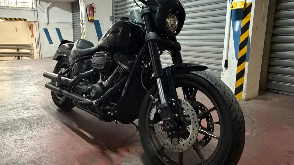 Harley-Davidson 114 Low Rider S (2020) - FXLRS  (3)