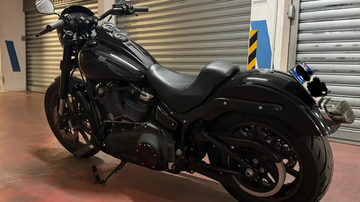 Harley-Davidson 114 Low Rider S (2020) - FXLRS  (5)