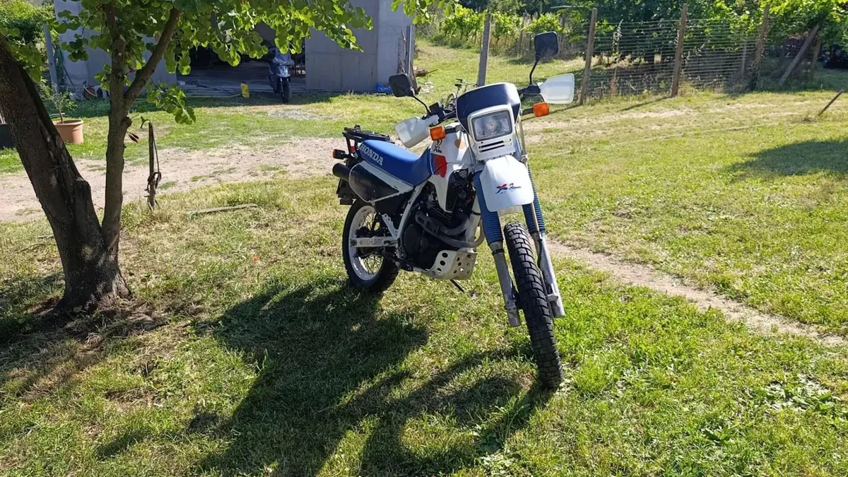Honda   (5)