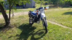 Honda   (5)