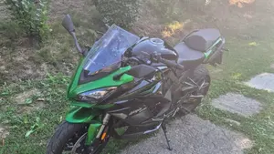 Kawasaki Ninja 1000 SX (2021 - 24)  (2)