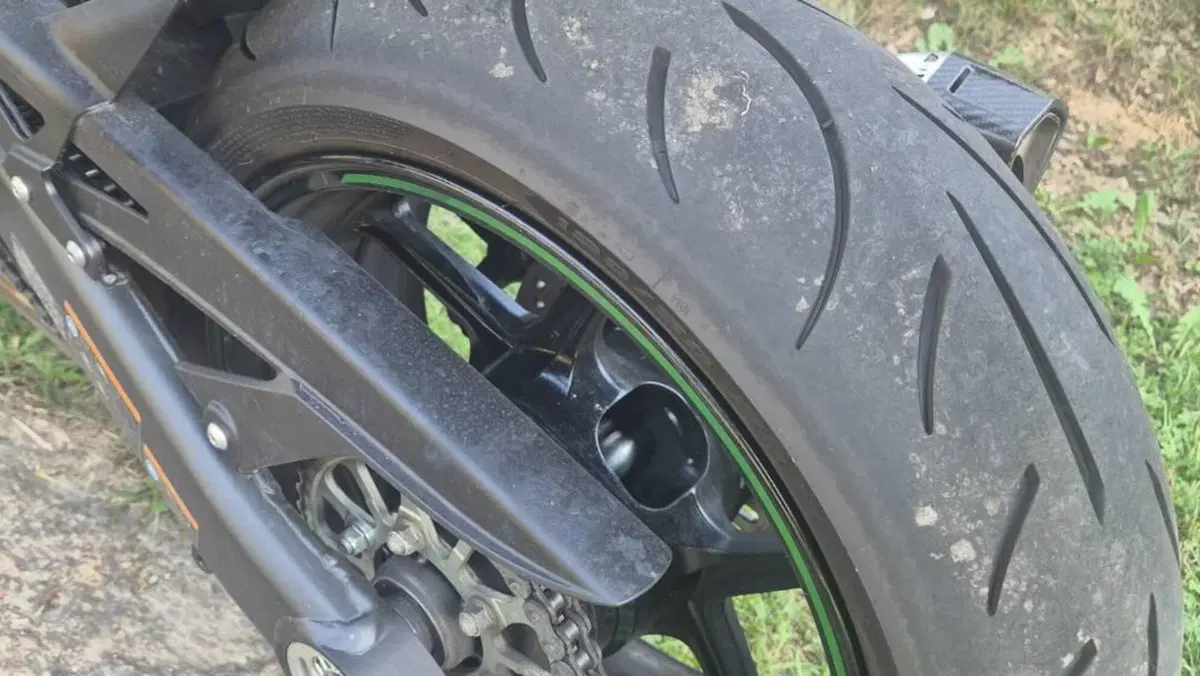 Kawasaki Ninja 1000 SX (2021 - 24)  (5)
