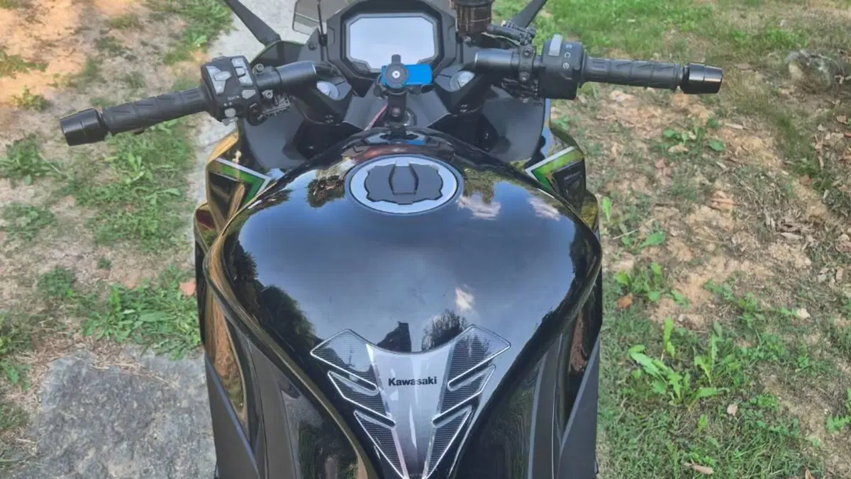 Kawasaki Ninja 1000 SX (2021 - 24)  (6)