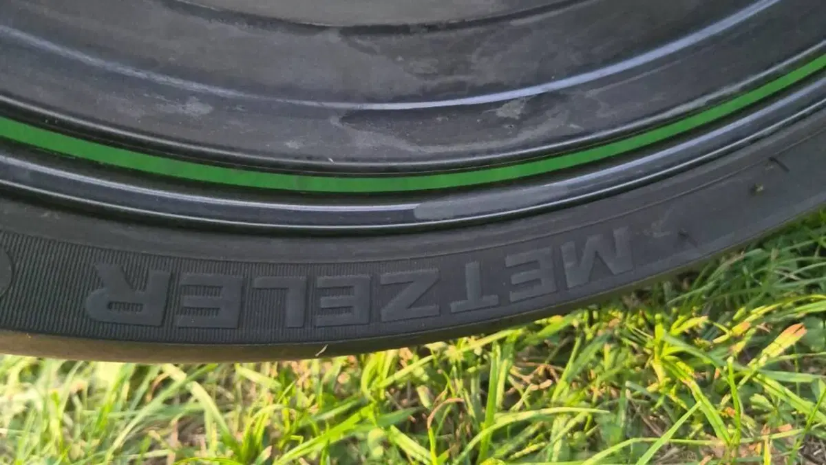 Kawasaki Ninja 1000 SX (2021 - 24)  (11)