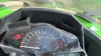 Kawasaki Ninja 300 ABS (2012 - 16) usata