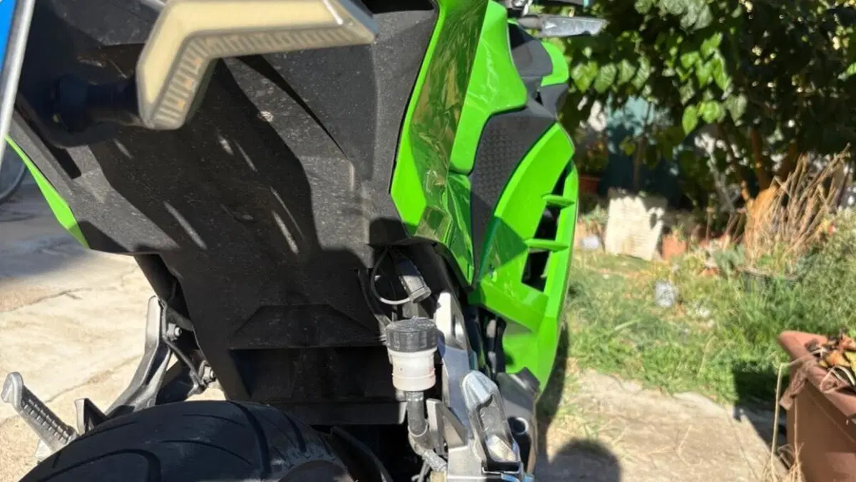 Kawasaki Ninja 300 ABS (2012 - 16)  (2)