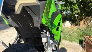 Kawasaki Ninja 300 ABS (2012 - 16)  (2)