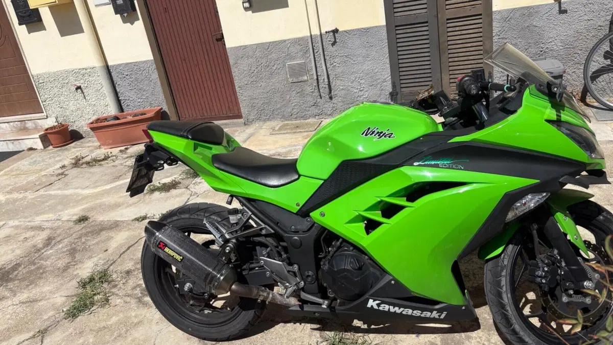 Kawasaki Ninja 300 ABS (2012 - 16)  (3)