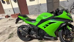 Kawasaki Ninja 300 ABS (2012 - 16)  (3)