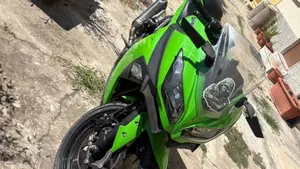 Kawasaki Ninja 300 ABS (2012 - 16)  (4)