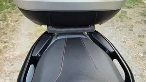 Honda Forza 300 Limited Edition ABS (2020)  (8)