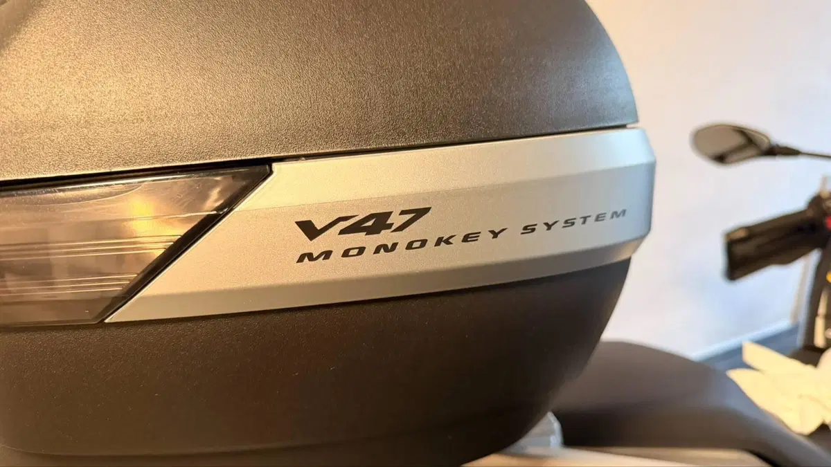 Bmw G 310 GS Edition 40 Years GS (2021)  (18)