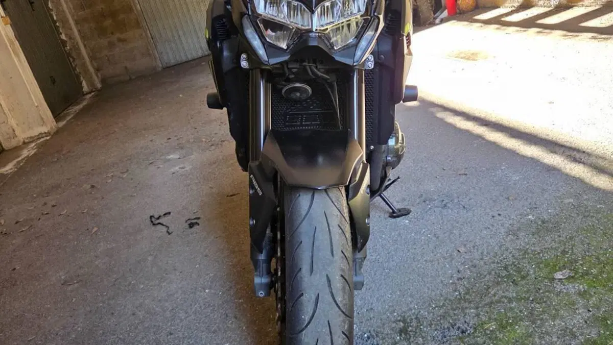 Kawasaki Z 900 Performance (2021 - 24)  (4)