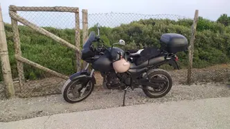 Triumph Tiger 900 usata