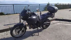 Triumph Tiger 900  (5)