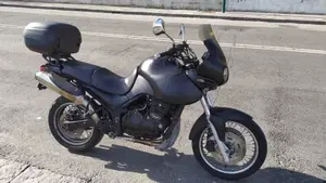Triumph Tiger 900  (6)