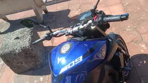 Yamaha MT-09 (2017 - 20)  (8)
