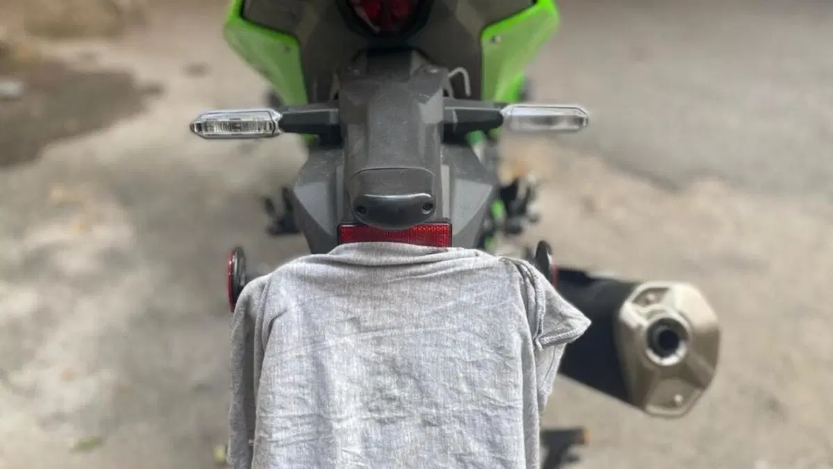 Kawasaki Ninja 500 SE (2024 - 26)  (3)