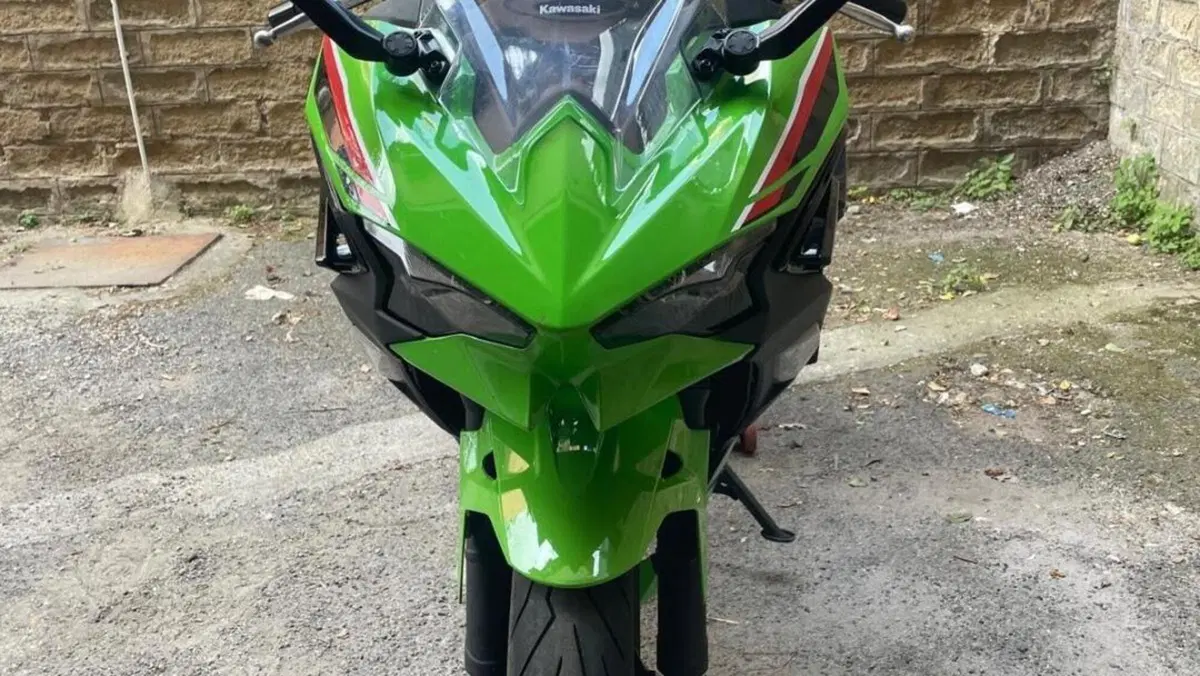 Kawasaki Ninja 500 SE (2024 - 26)  (4)