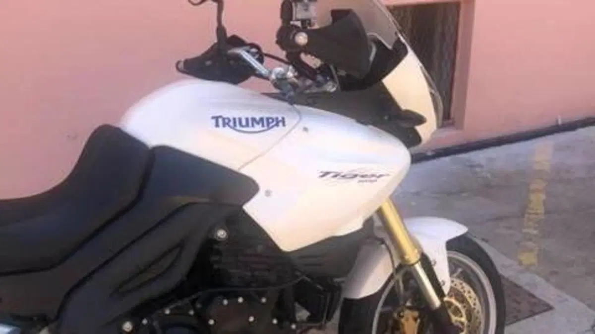Triumph Tiger 1050 (2006 - 12)  (13)