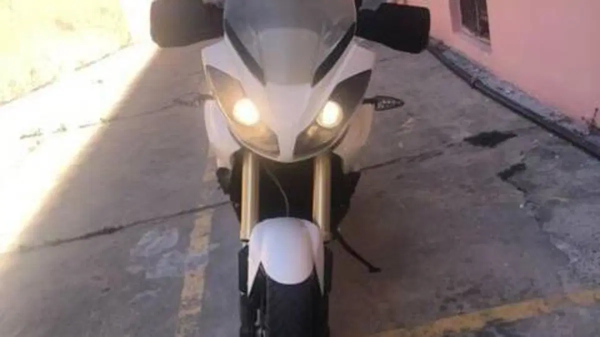 Triumph Tiger 1050 (2006 - 12)  (8)