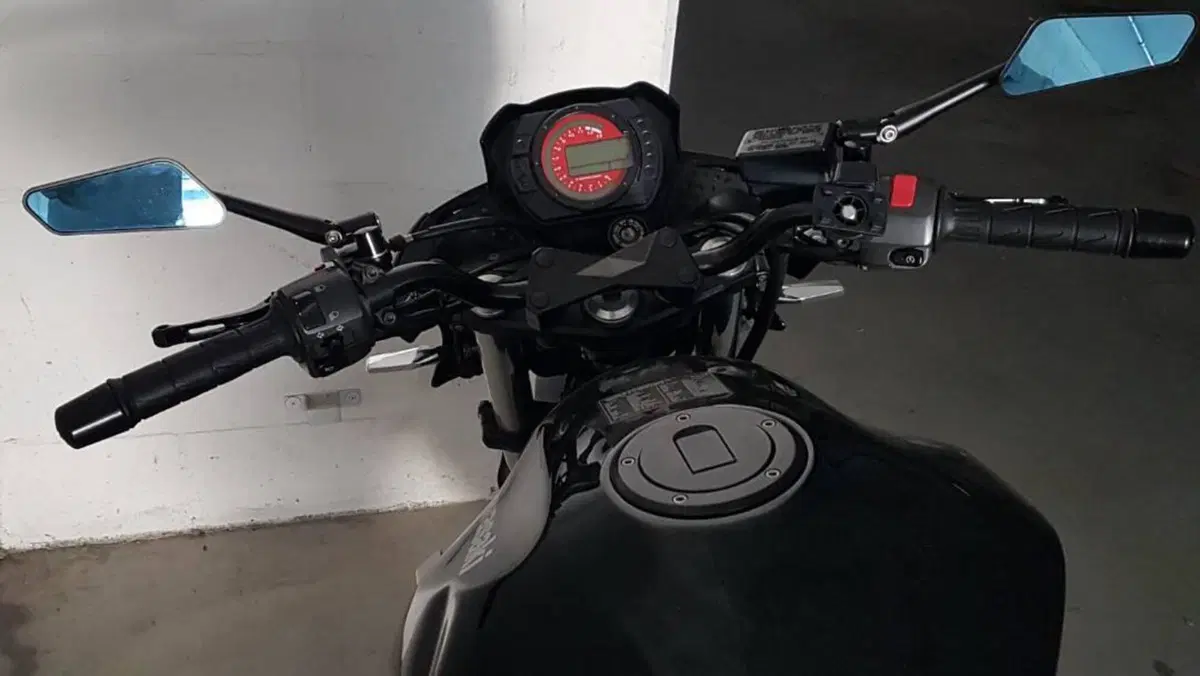 Kawasaki Z 750 (2003 - 06)  (5)