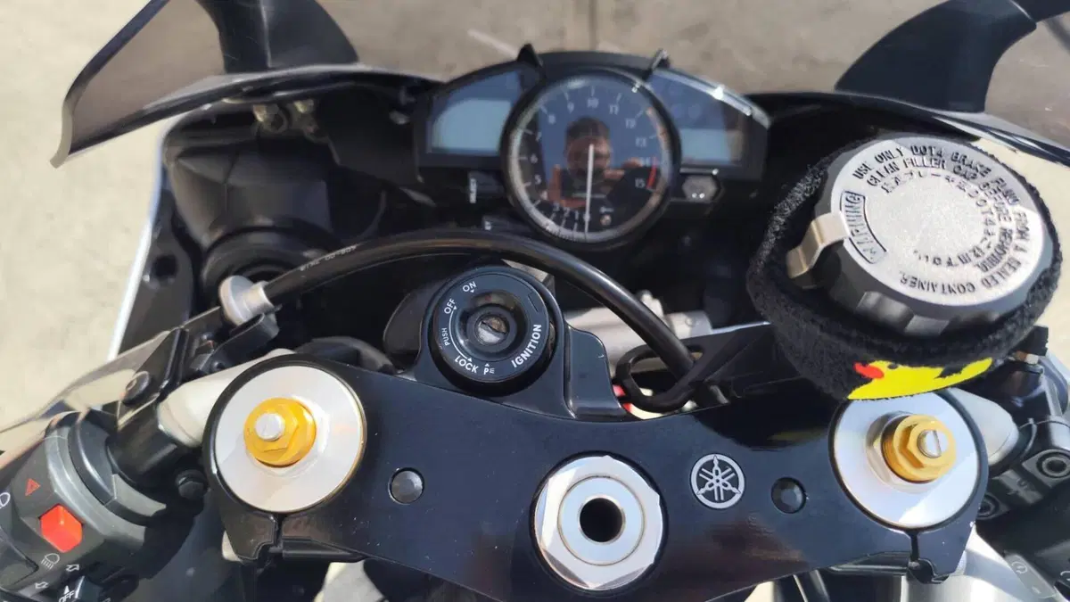 Yamaha YZF R1 (2007 - 08)  (14)