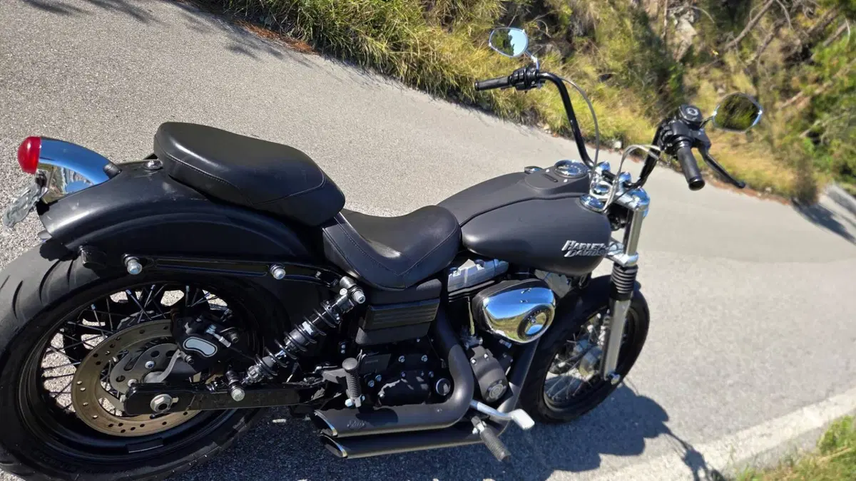 Harley-Davidson 1584 Street Bob (2008 - 15) - FXDB  (2)