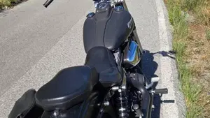 Harley-Davidson 1584 Street Bob (2008 - 15) - FXDB  (3)