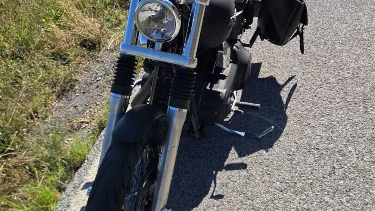 Harley-Davidson 1584 Street Bob (2008 - 15) - FXDB  (4)