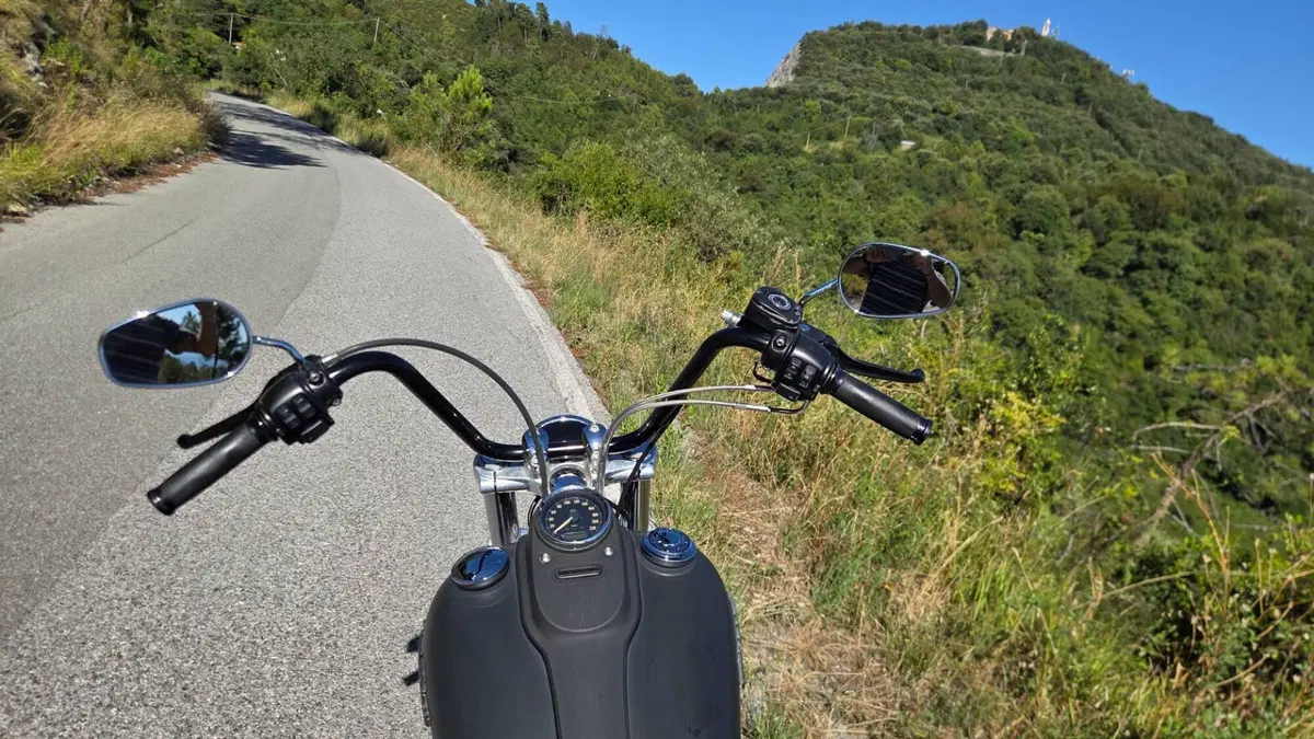 Harley-Davidson 1584 Street Bob (2008 - 15) - FXDB  (6)