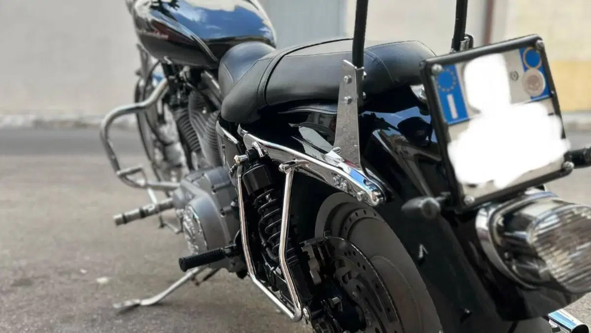 Harley-Davidson 883 Custom (2001 - 05) - XL 53C  (9)