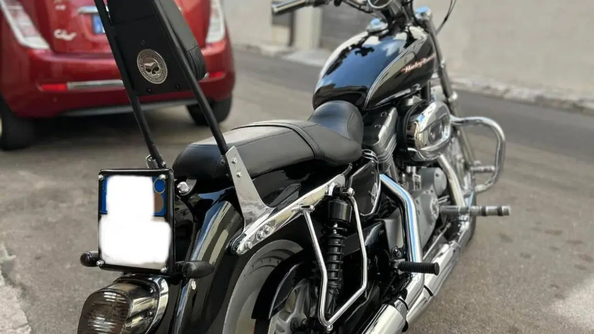 Harley-Davidson 883 Custom (2001 - 05) - XL 53C  (11)