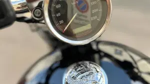 Harley-Davidson 883 Custom (2001 - 05) - XL 53C  (8)