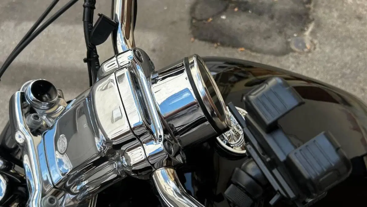 Harley-Davidson 883 Custom (2001 - 05) - XL 53C  (7)