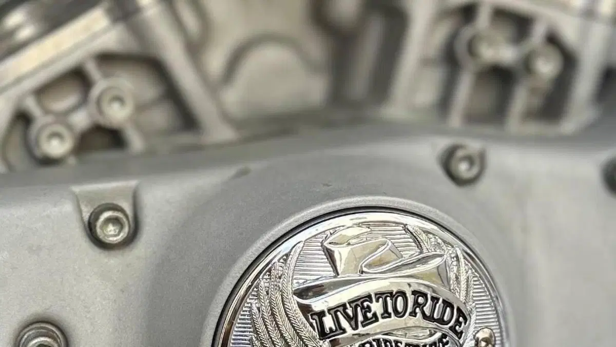 Harley-Davidson 883 Custom (2001 - 05) - XL 53C  (10)