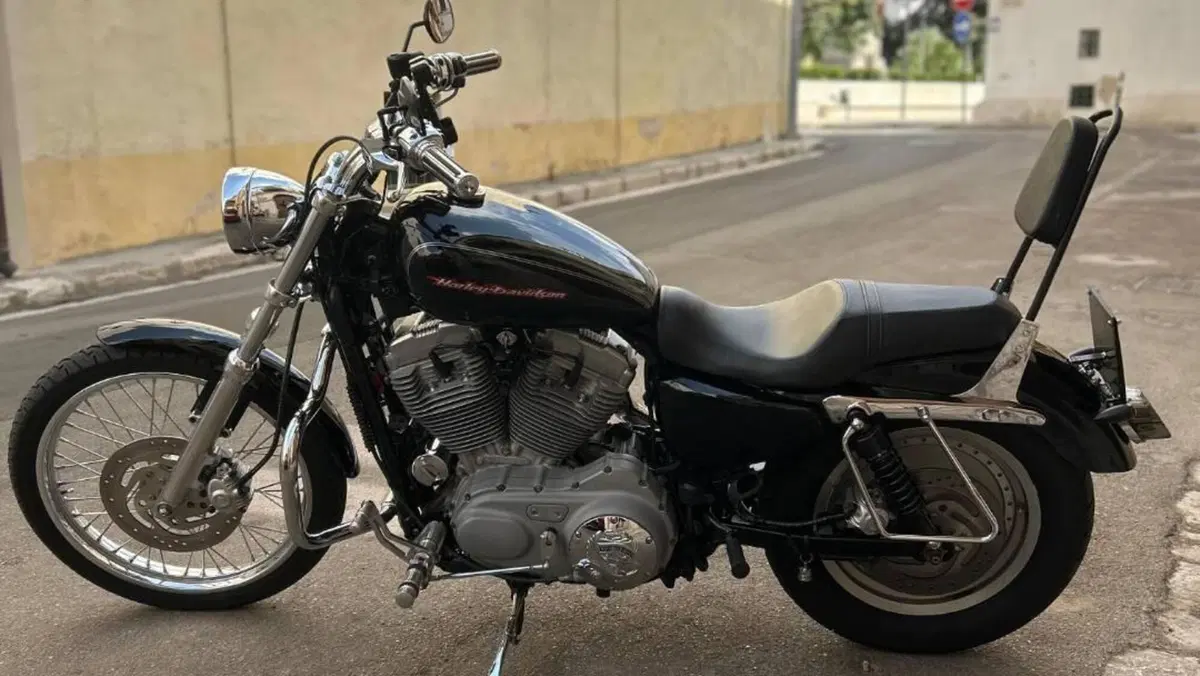 Harley-Davidson 883 Custom (2001 - 05) - XL 53C  (5)