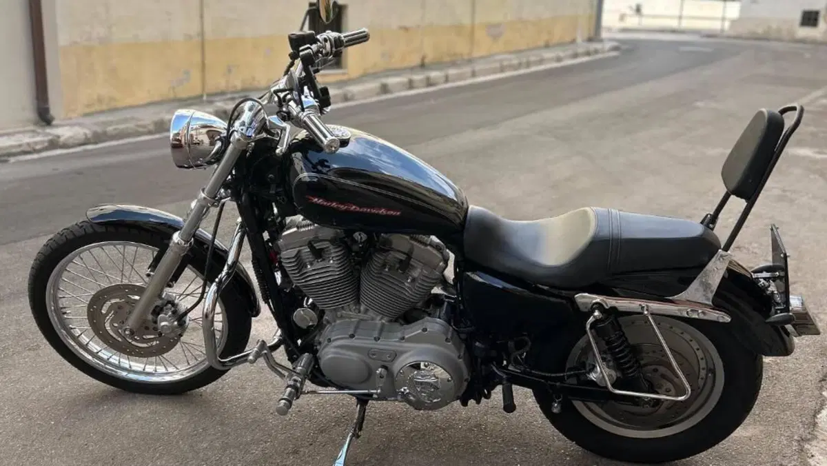 Harley-Davidson 883 Custom (2001 - 05) - XL 53C  (4)