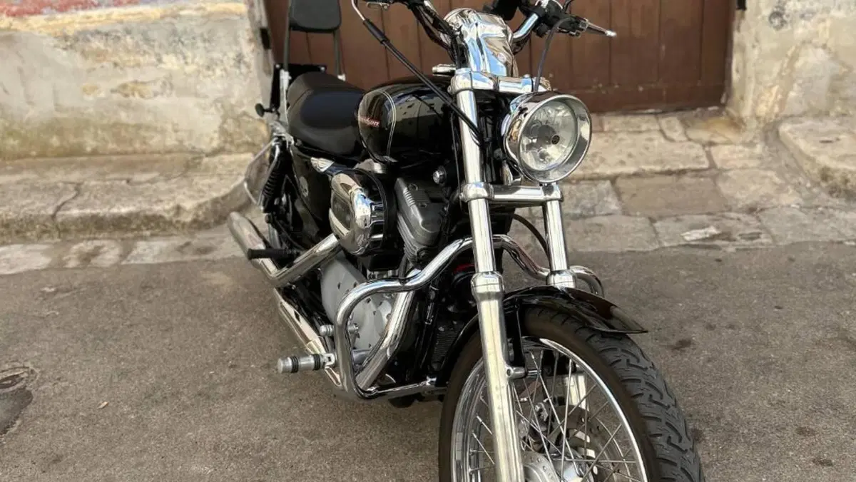 Harley-Davidson 883 Custom (2001 - 05) - XL 53C  (6)